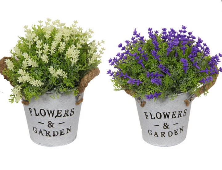 Potted Flowers